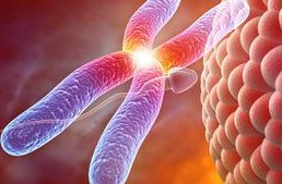 广州市公立医院三代试管婴儿具体费用是多少？